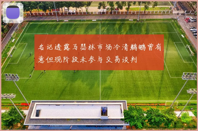 名记透露马瑟林市场冷清鹈鹕曾有意但现阶段未参与交易谈判