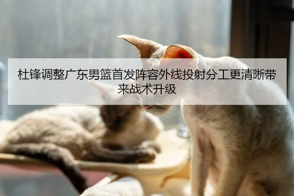 杜锋调整广东男篮首发阵容外线投射分工更清晰带来战术升级